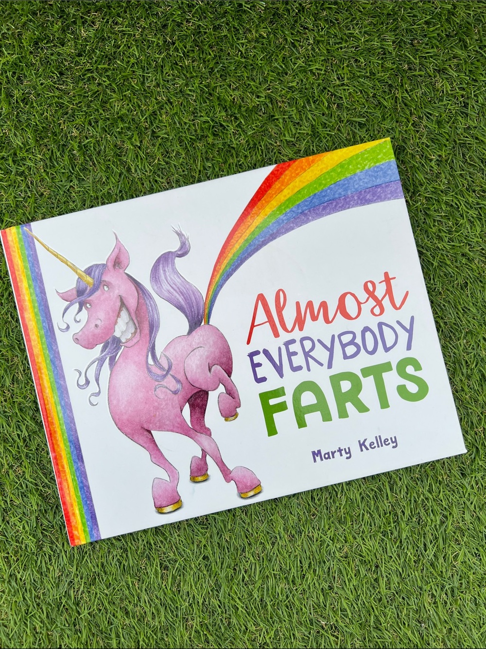📚 3/ $21 📚 children’s picture book Almost Everybody Farts by Marty Kelley EUC